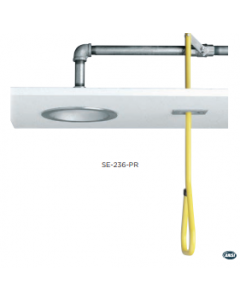 Speakman Lifesaver SE-236 Ceiling Mounted Deluge Shower with Chain & Ring